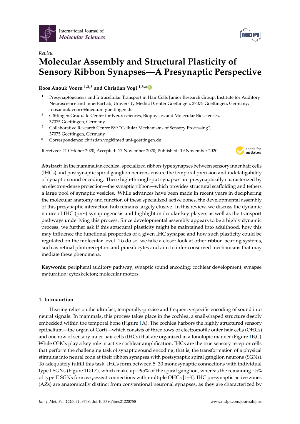 Molecular Assembly and Structural Plasticity of Sensory Ribbon Synapses—A Presynaptic Perspective