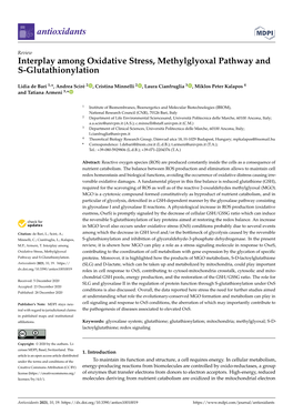 Interplay Among Oxidative Stress, Methylglyoxal Pathway and S-Glutathionylation