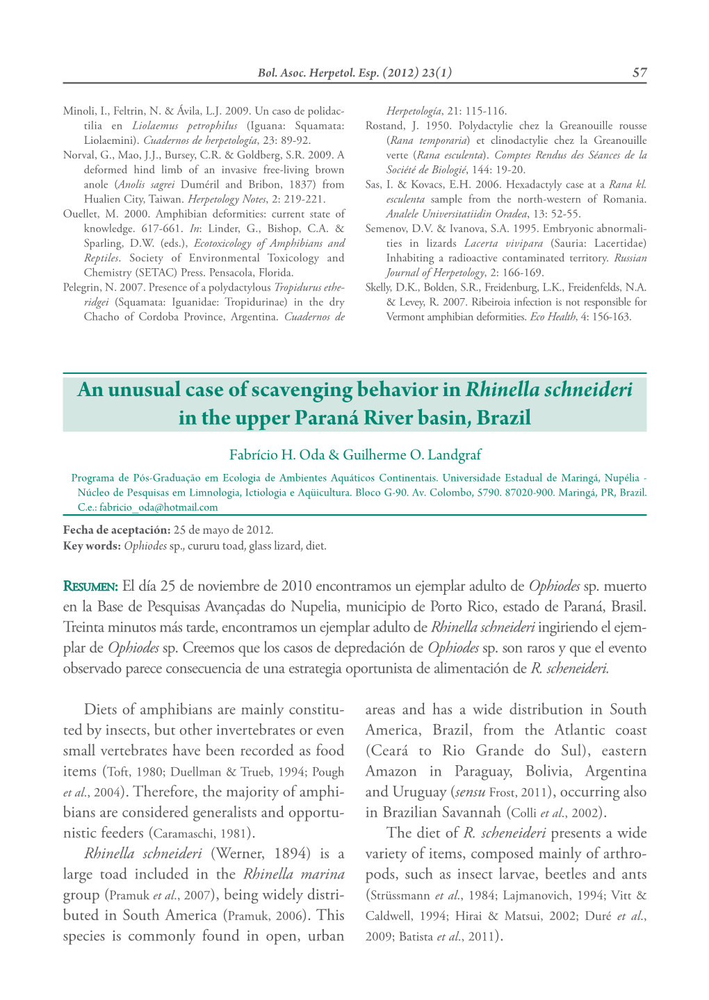 An Unusual Case of Scavenging Behavior in Rhinella Schneideri in the Upper Paraná River Basin, Brazil