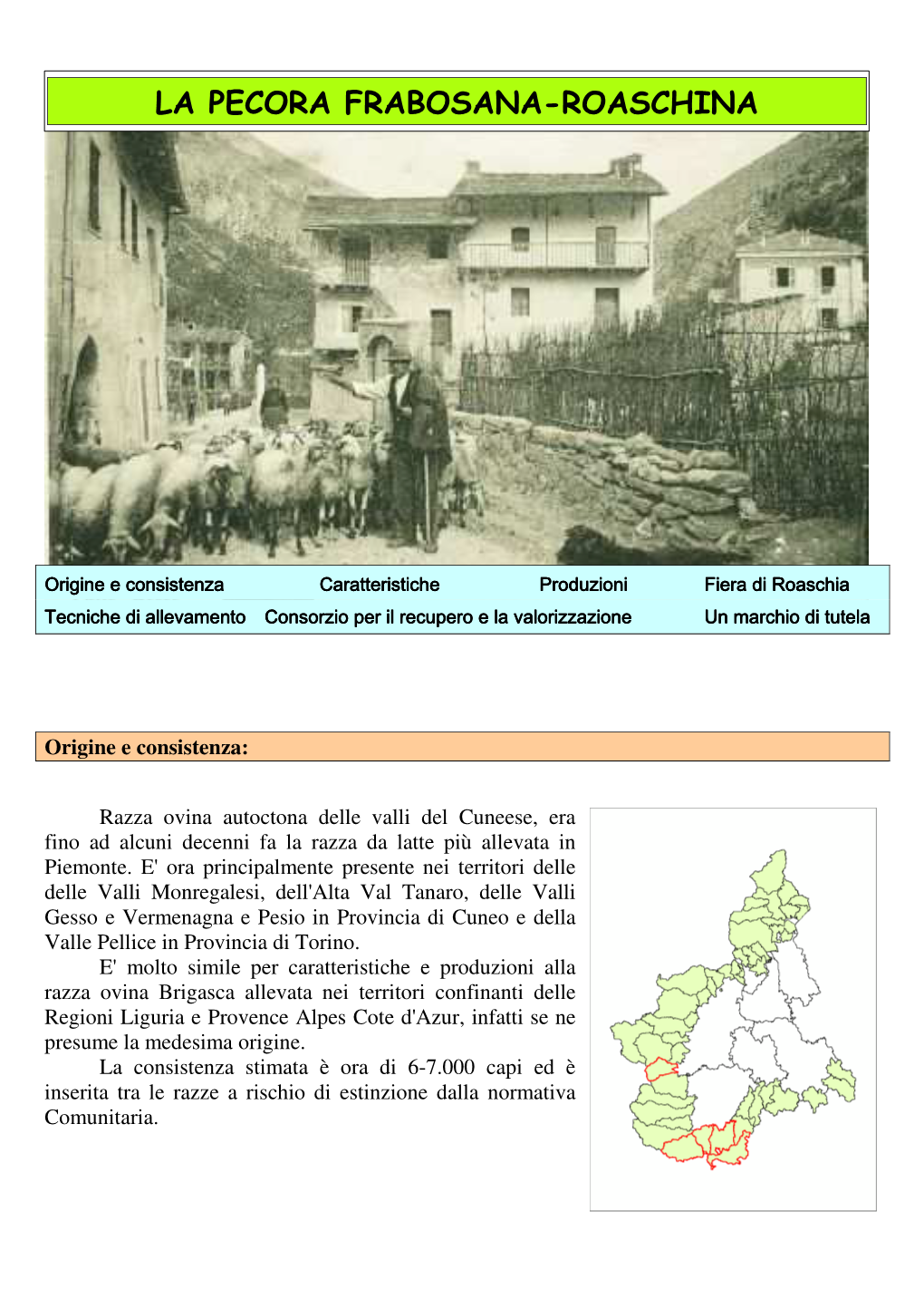 Scarica La Scheda Sulla Pecora Frabosana-Roaschina in Formato.Pdf