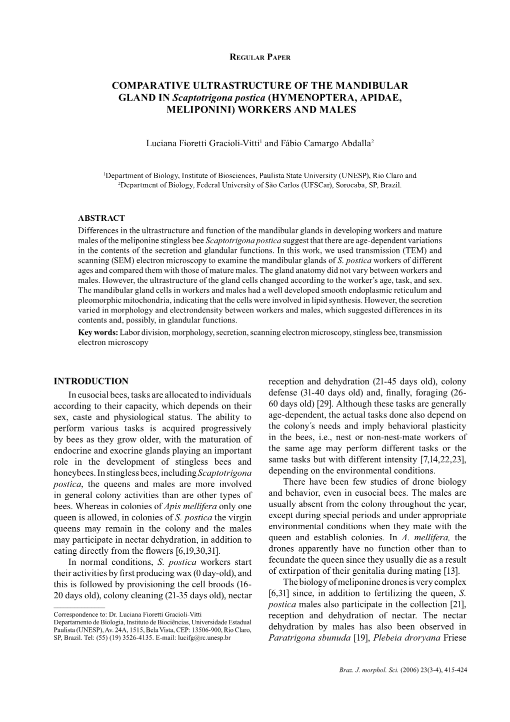 Hymenoptera, Apidae, Meliponini) Workers and Males