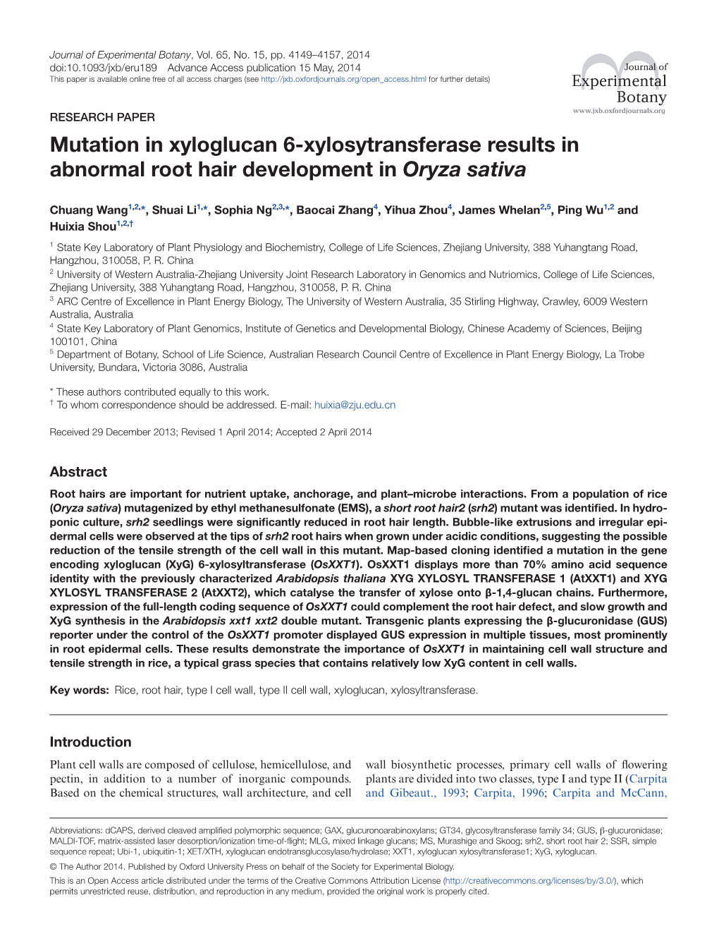 Mutation in Xyloglucan 6-Xylosytransferase Results in Abnormal Root Hair Development in Oryza Sativa