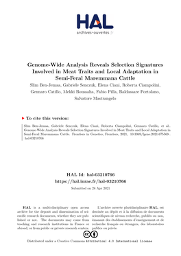 Genome-Wide Analysis Reveals Selection Signatures Involved in Meat Traits and Local Adaptation in Semi-Feral Maremmana Cattle