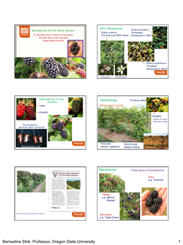 Blackberries for the Home Garden Rubus Laciniatus Rubus Ursinus ‘Evergreen’ Dr