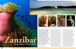 Zanzibar, for Some Low-Level Sun- It-All-In-25-Dives Harvard Post-Grad Rise Shots of the Outlying Reefs