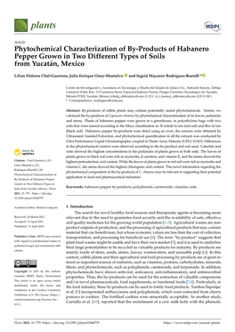 Phytochemical Characterization of By-Products of Habanero Pepper Grown in Two Different Types of Soils from Yucatán, Mexico