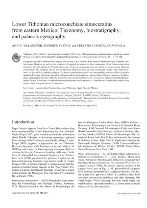 Taxonomy, Biostratigraphy, and Palaeobiogeography