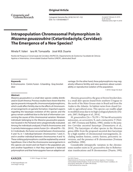 Intrapopulation Chromosomal Polymorphism in Mazama Gouazoubira (Cetartiodactyla; Cervidae): the Emergence of a New Species?
