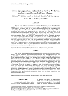 Flower Development and Its Implication for Seed Production on Amorphophallus Muelleri Blume (Araceae)