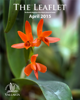 The Leaflet the Monthly Magazine of the Vallarta Botanical Garden April 2015 the Leaflet