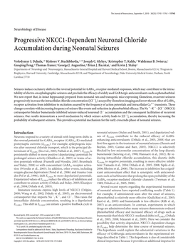 Progressive NKCC1-Dependent Neuronal Chloride Accumulation During Neonatal Seizures