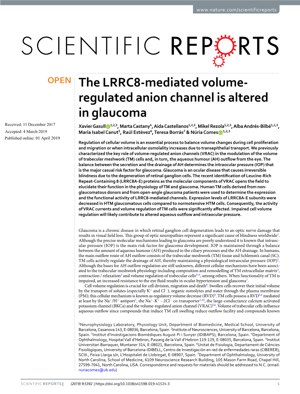 Regulated Anion Channel Is Altered in Glaucoma