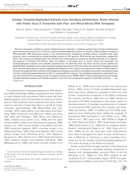 Soluble, Template-Dependent Extracts from Nicotiana Benthamiana Plants Infected with Potato Virus X Transcribe Both Plus- and Minus-Strand RNA Templates