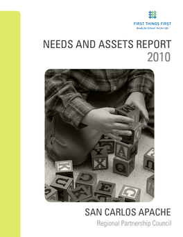 Needs and Assets Report 2010