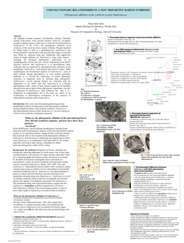 COEVOLUTIONARY RELATIONSHIPS in a NEW TRIPARTITE MARINE SYMBIOSIS Phylogenetic Affinities of the Symbiotic Protist Nephromyces