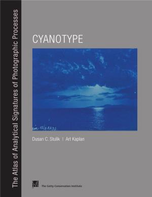 Cyanotype Process 15