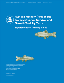 Fathead Minnow (Pimephales Promelas) Larval Survival and Growth Toxicity Tests Supplement to Training Video