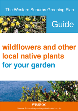 Wildflowers and Other Local Native Plants for Your Garden