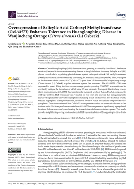 Overexpression of Salicylic Acid Carboxyl Methyltransferase (Cssamt1) Enhances Tolerance to Huanglongbing Disease in Wanjincheng Orange (Citrus Sinensis (L.) Osbeck)