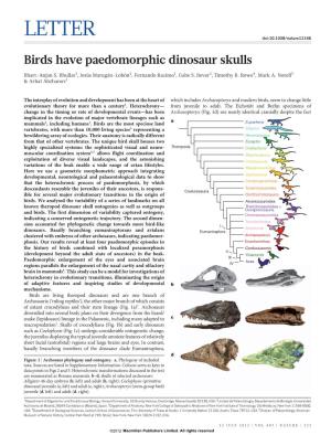 Birds Have Paedomorphic Dinosaur Skulls