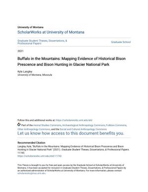 Buffalo in the Mountains: Mapping Evidence of Historical Bison Prescence and Bison Hunting in Glacier National Park