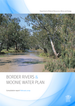 Border Rivers and Moonie Water Plan, Department of Natural Resources, Mines and Energy