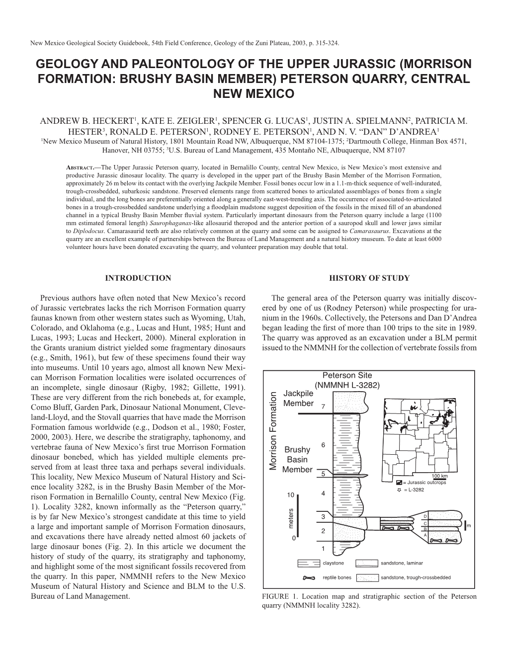 (Morrison Formation: Brushy Basin Member) Peterson Quarry, Central New Mexico