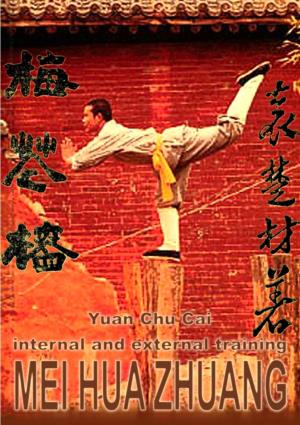 Yuan Chu Cai. MEI HUA ZHUANG: Poles of Plum Blossom. External and Internal Training. Free Trial