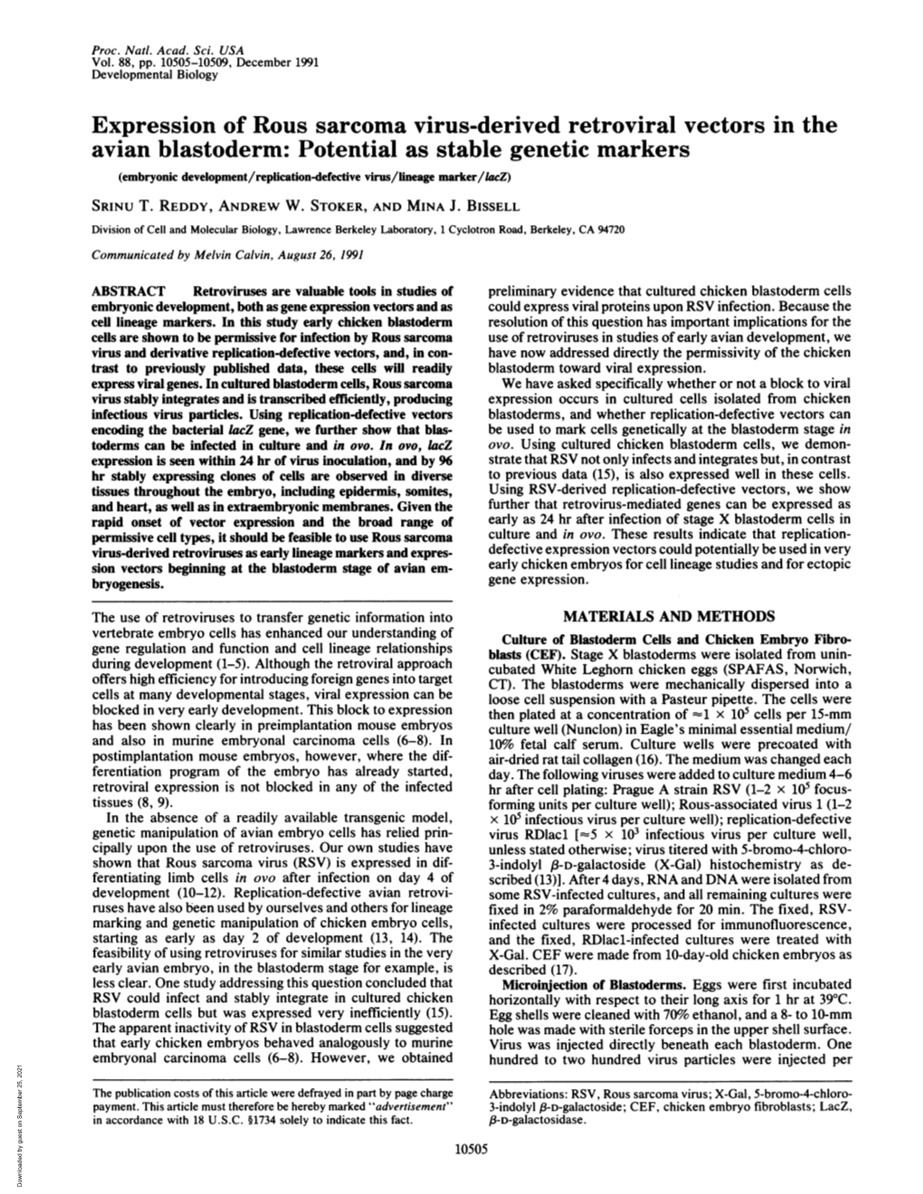 Expression of Rous Sarcoma Virus-Derived Retroviral Vectors In