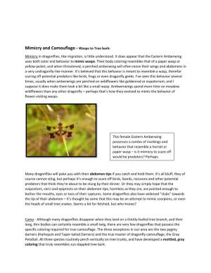 Mimicry and Camouflage – Wasps to Tree Bark