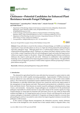 Chitinases—Potential Candidates for Enhanced Plant Resistance Towards Fungal Pathogens