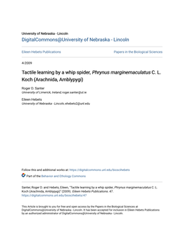 Tactile Learning by a Whip Spider, &lt;I&gt;Phrynus Marginemaculatus&lt;/I