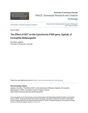 The Effect of DDT on the Cytochrome P450 Gene, Cyp6a8, of Drosophila Melanogaster