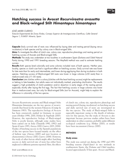 Hatching Success in Avocet Recurvirostra Avosetta and Black-Winged Stilt Himantopus Himantopus