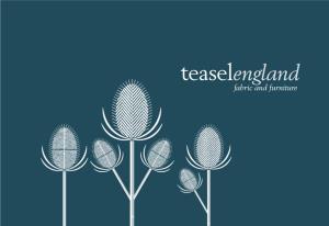 Teasel-England-Brochure.Pdf