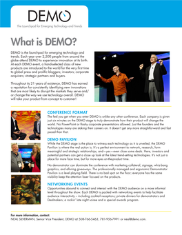What Is DEMO?
