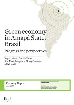 Green Economy in Amapá State, Brazil Progress and Perspectives