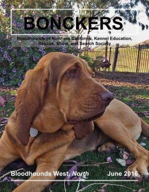 Bloodhounds West, North June 2016
