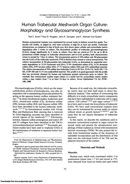 Human Trabecular Mesh Work Organ Culture: Morphology and Glycosaminoglycan Synthesis
