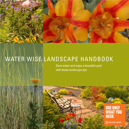 Water Wise Landscape Handbook Save Water and Enjoy a Beautiful Yard with These Landscape Tips