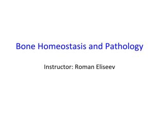 Bone Homeostasis and Pathology