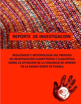 Reporte Y Metodología Del Proceso De Investigación Cuantitativa Y Cualitativa Sobre La Situación De La Violencia De Género En La Sierra Norte De Puebla