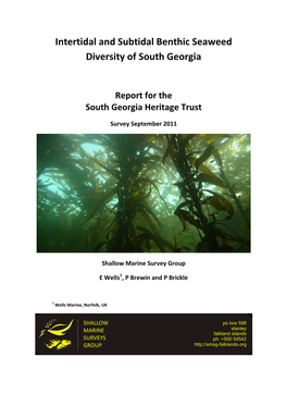 Intertidal and Subtidal Benthic Seaweed Diversity of South Georgia