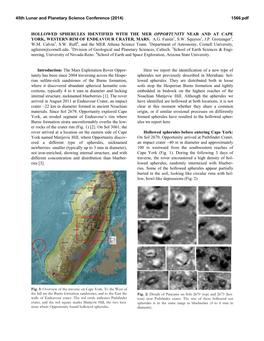 Hollowed Spherules Identified with the Mer Opportunity Near and at Cape York, Western Rim of Endeavour Crater, Mars