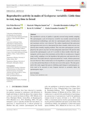 Reproductive Activity in Males of Sceloporus Variabilis: Little Time to Rest, Long Time to Breed