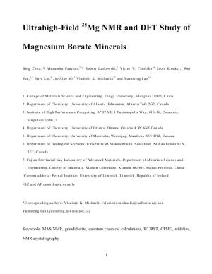 Ultrahigh-Field Mg NMR and DFT Study of Magnesium Borate Minerals
