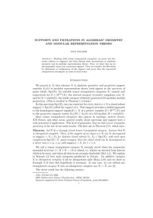 Supports and Filtrations in Algebraic Geometry and Modular Representation Theory