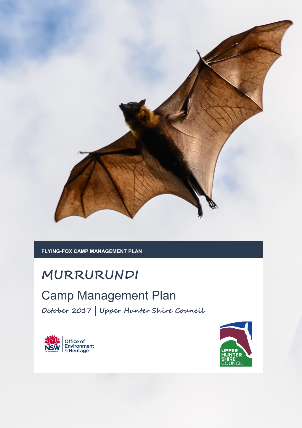 Murrurundi Flying-Fox Camp Management Strategy