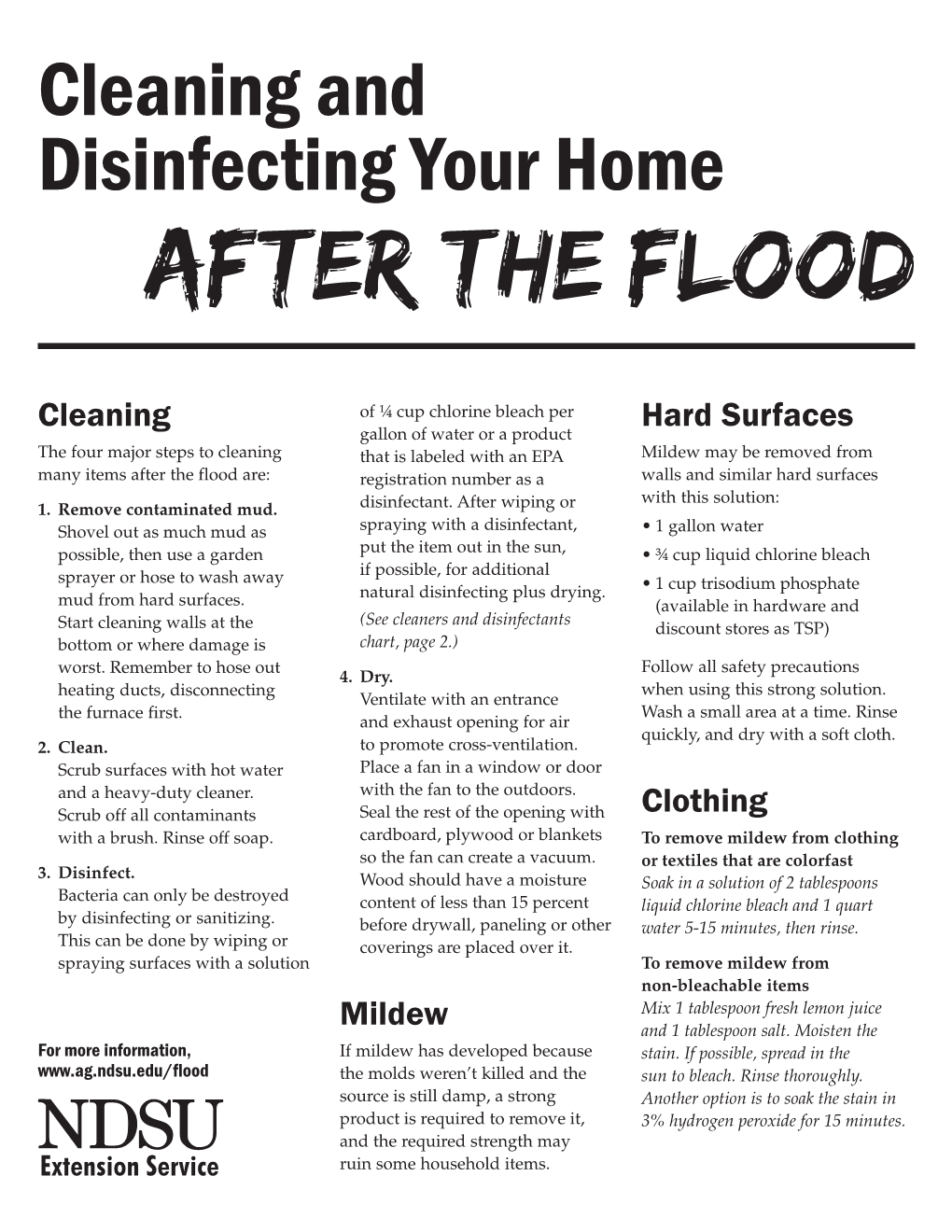 Cleaning and Disinfecting Your Home After the Flood