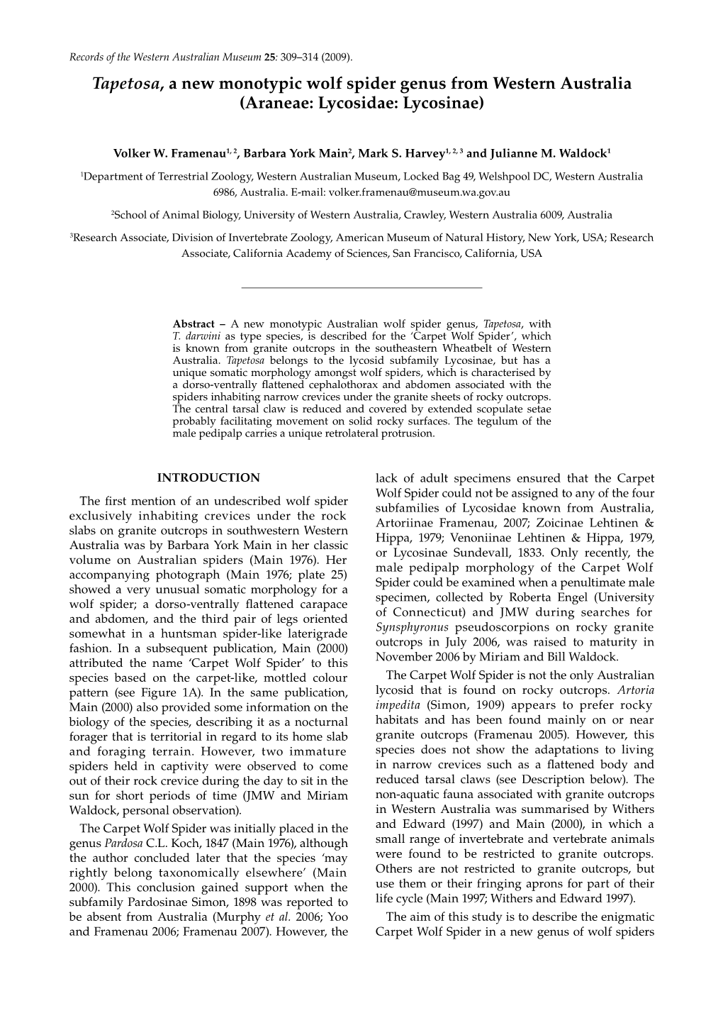 Tapetosa, a New Monotypic Wolf Spider Genus from Western Australia (Araneae: Lycosidae: Lycosinae)